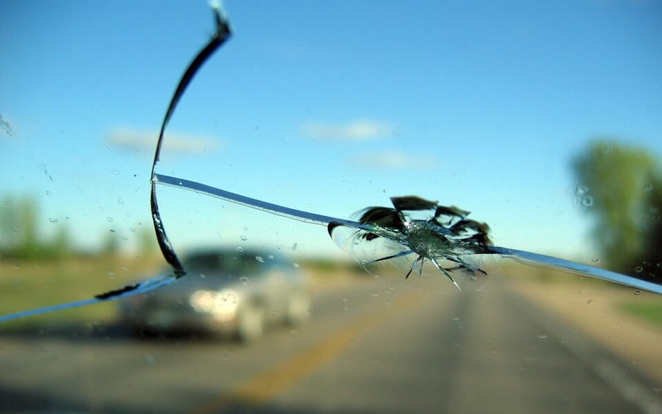 Cracked windshield with dandelion growing through the center, surrounded by shattered glass.