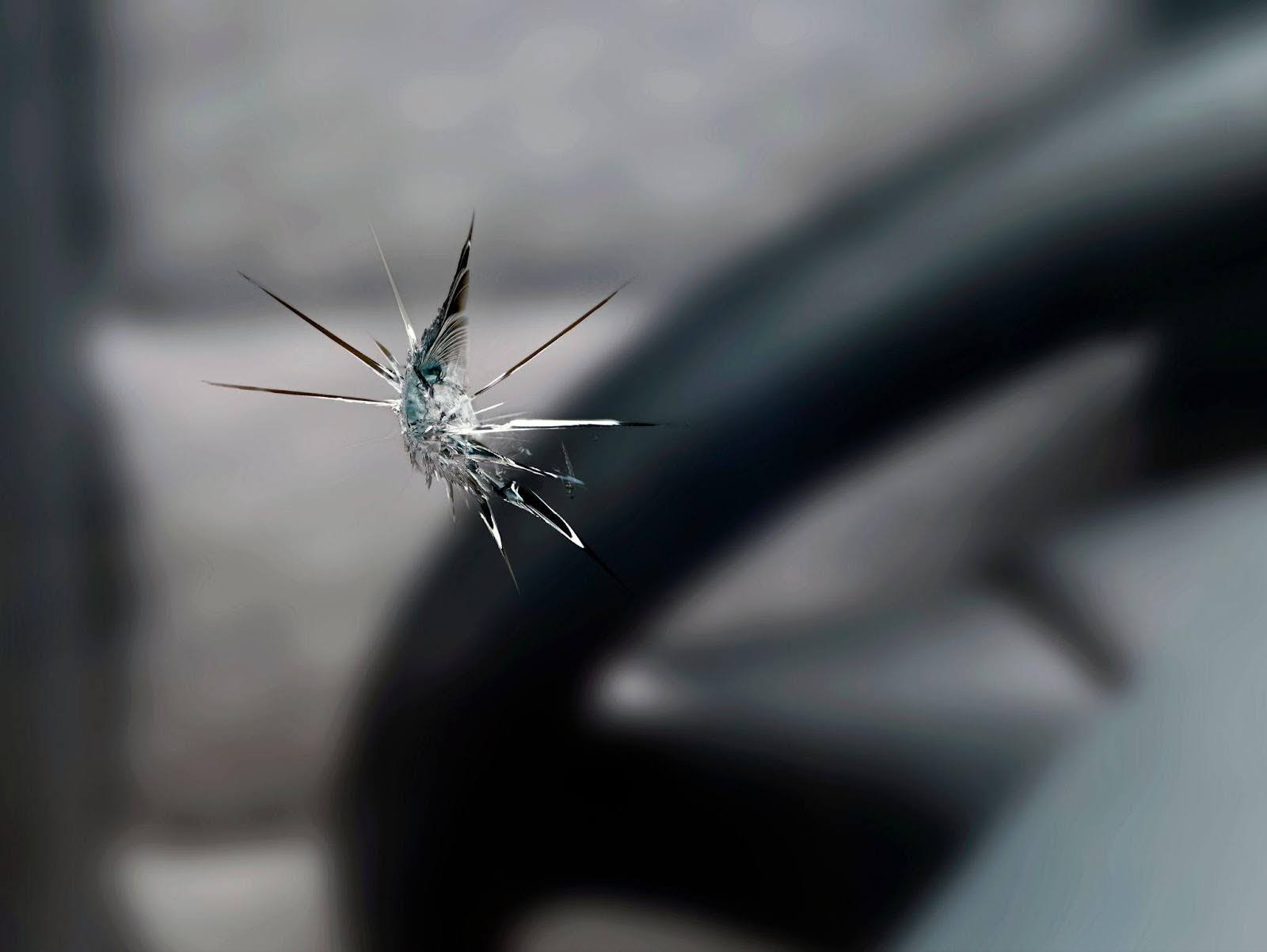 A close-up of a broken windshield and steering wheel, highlighting interior damage.